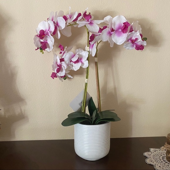 Ashland Other - NWT FAUX ORCHID in Pot